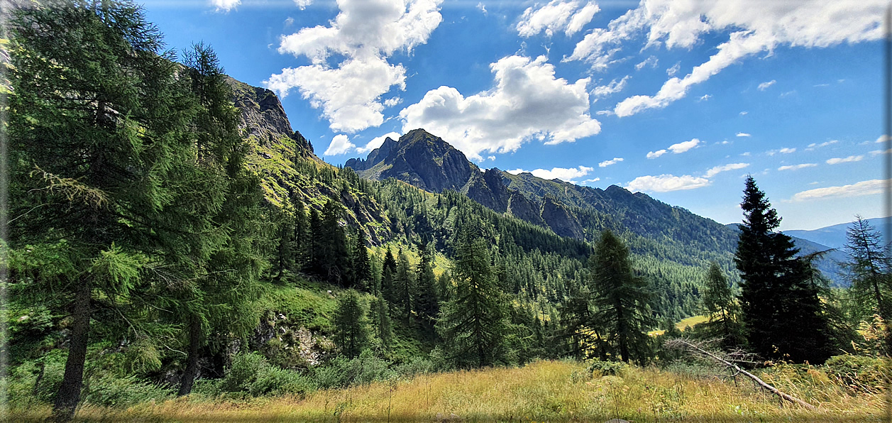 foto Forcella di Val Regana